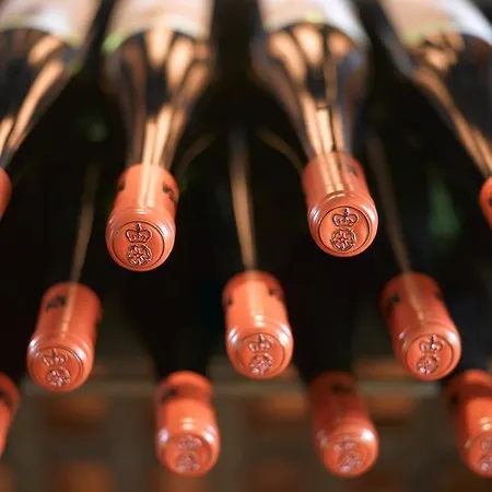 Gastehaus Im Weingut Schloss Proschwitz 3* Meißen