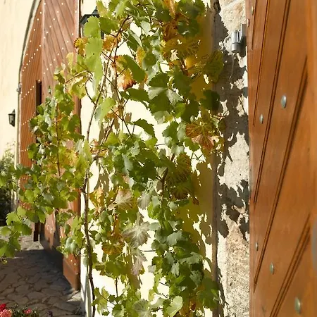 Gastehaus Im Weingut Schloss Proschwitz Meißen